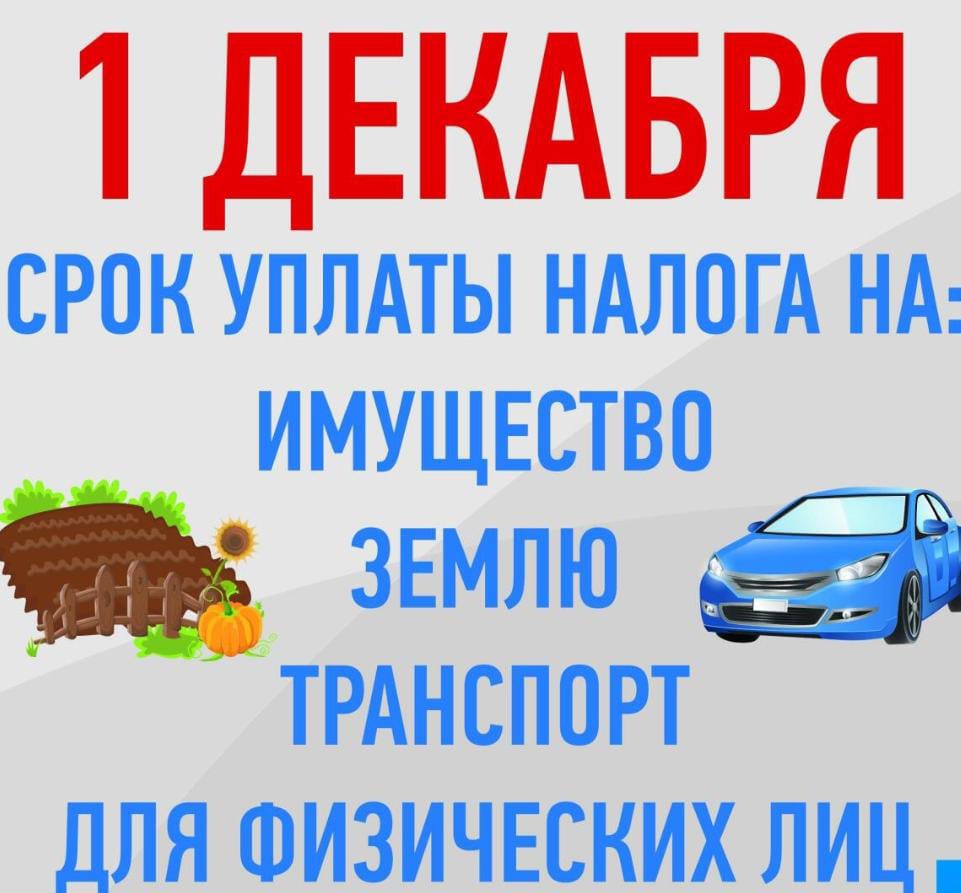 Бухгалтерские услуги и сопровождение, обслуживание организаций в Воронеже.  Бухгалтерский аутсорсинг Воронеж. Скрепки - умный сервис для  предпринимателей!